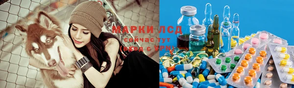шишки Абаза