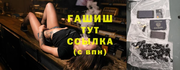 молекула духа Пересвет