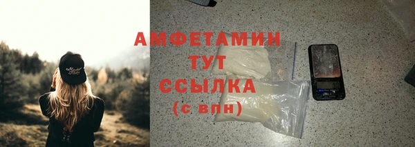 шишки Абаза