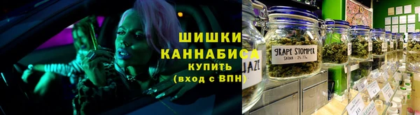 шишки Абаза