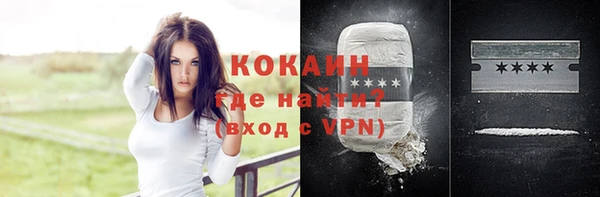 шишки Абаза