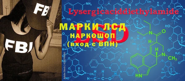 шишки Абаза