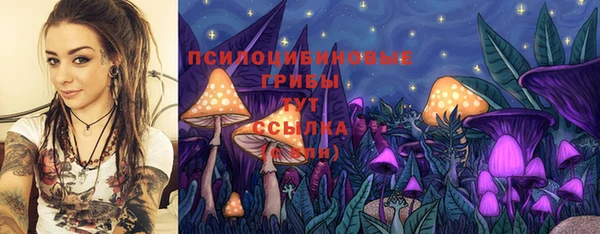 a pvp Пестово