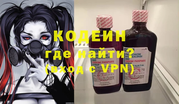 шишки Абаза