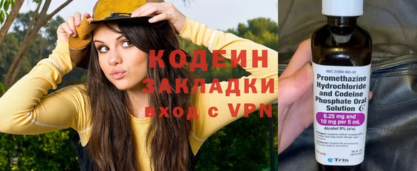 шишки Абаза