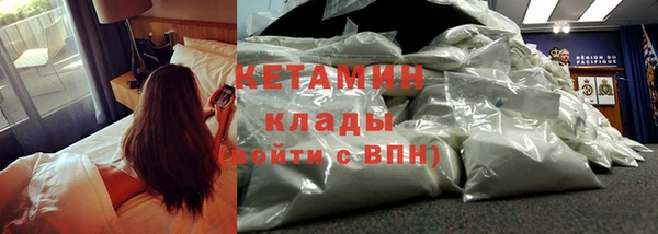 шишки Абаза