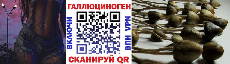 цены Тайга Галлюциногенные грибы мухоморы